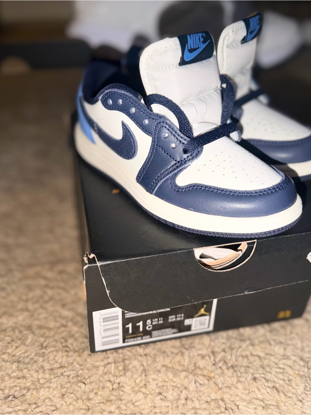 Nike JORDONS Low-Top Sneakers in Navy and White